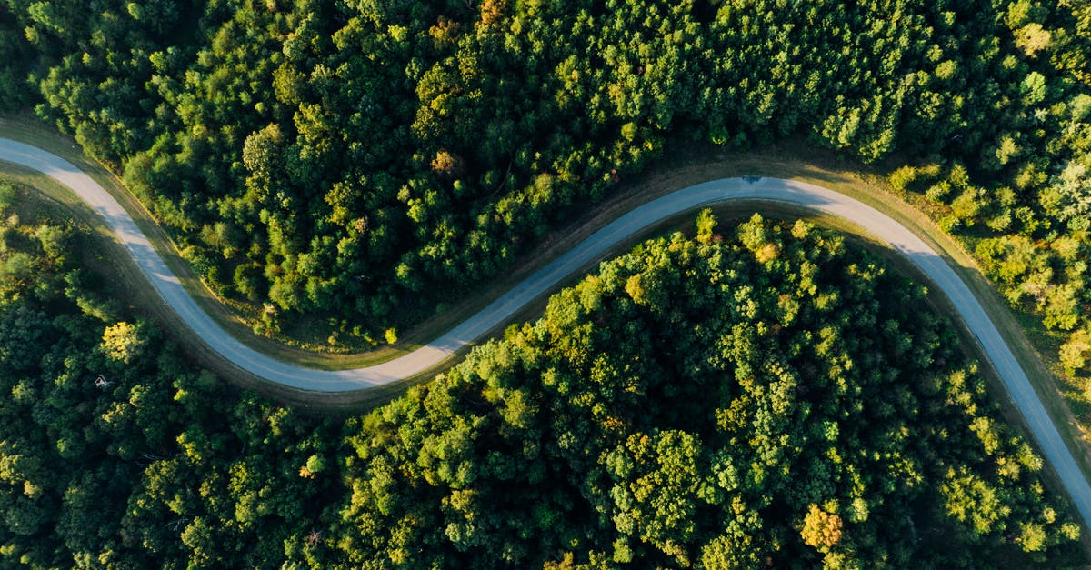Is this image, taken about 1900, actually from Nuremberg? - Aerial Photo of Empty Meandering Road In Between Forest Is this image, taken about 1900, actually from Nuremberg? - Aerial Photo of Empty Meandering Road In Between Forest