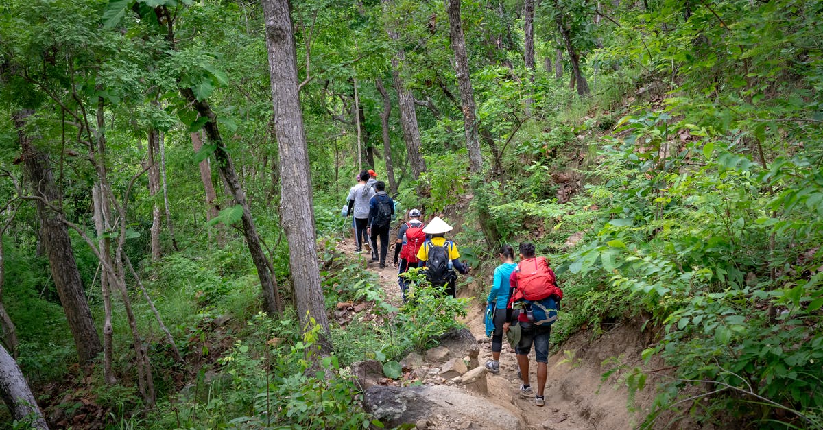 Is this road trip from India to Singapore covering entire South-East Asia in the below mentioned route were possible? [closed] - From above of faceless travelers with backpacks in casual clothes walking along narrow dirty path in lush green jungle during hiking tour