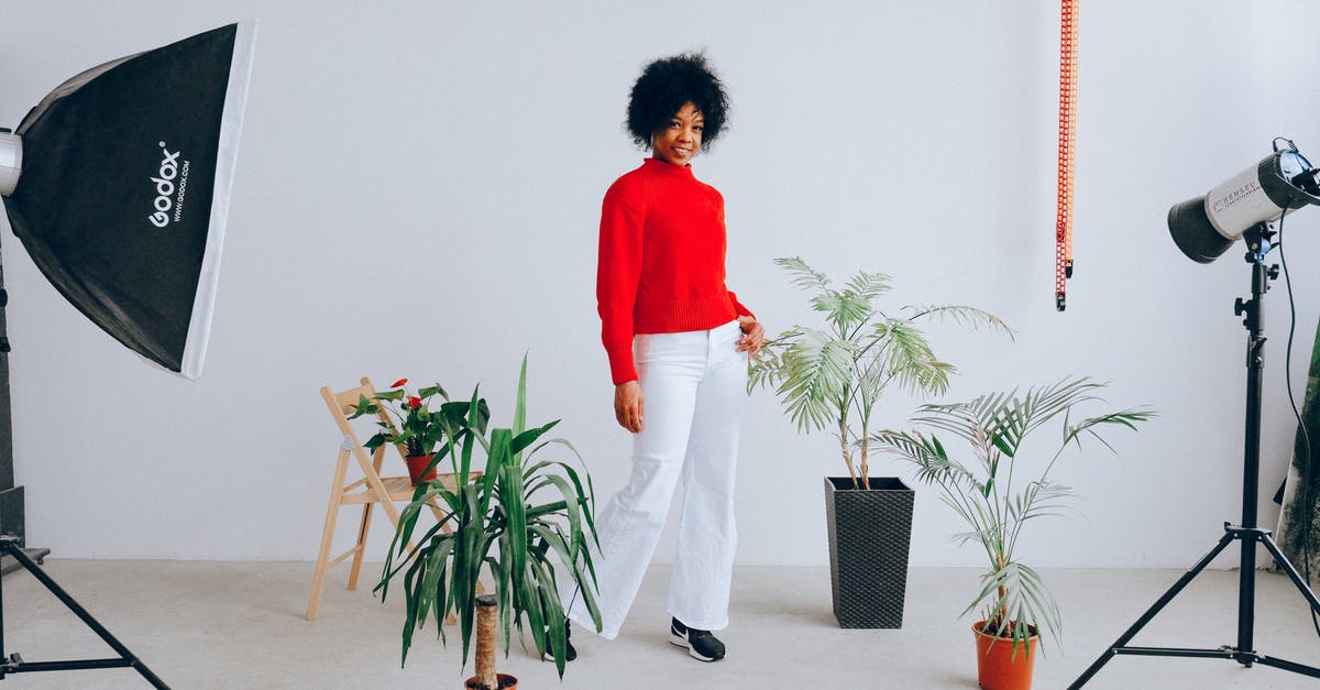 Is this type of camera used to see who passes through a red light? (England) - Smiling ethnic woman having photo session with plants Is this type of camera used to see who passes through a red light? (England) - Smiling ethnic woman having photo session with plants