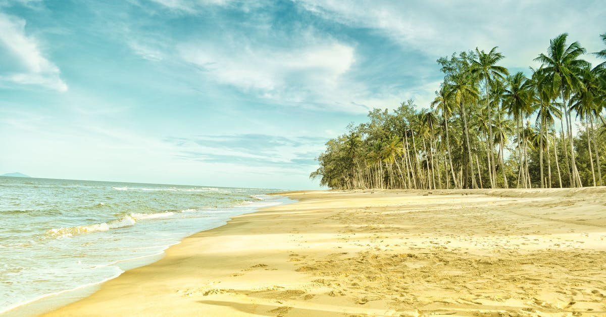 Is visiting Ellis Island on Thanksgiving Day feasible? - Palm Trees Near Beach Shore Is visiting Ellis Island on Thanksgiving Day feasible? - Palm Trees Near Beach Shore