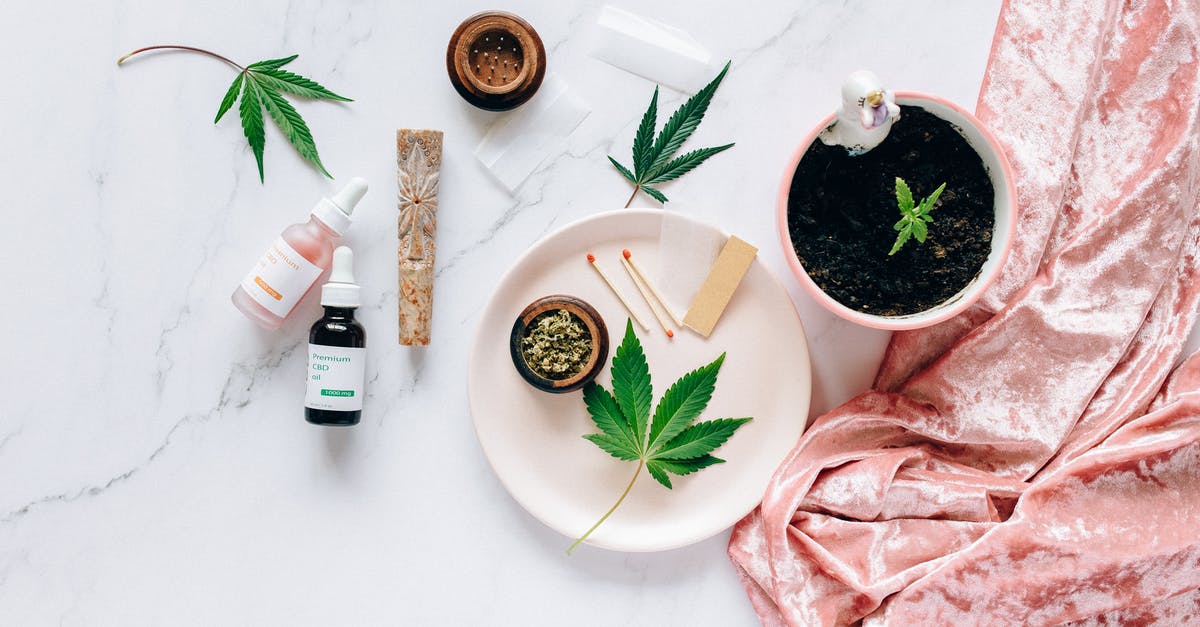 Is weed still legal for tourists in Amsterdam? - Raw Meat on White Ceramic Plate Beside White and Green Ceramic Bowl Is weed still legal for tourists in Amsterdam? - Raw Meat on White Ceramic Plate Beside White and Green Ceramic Bowl