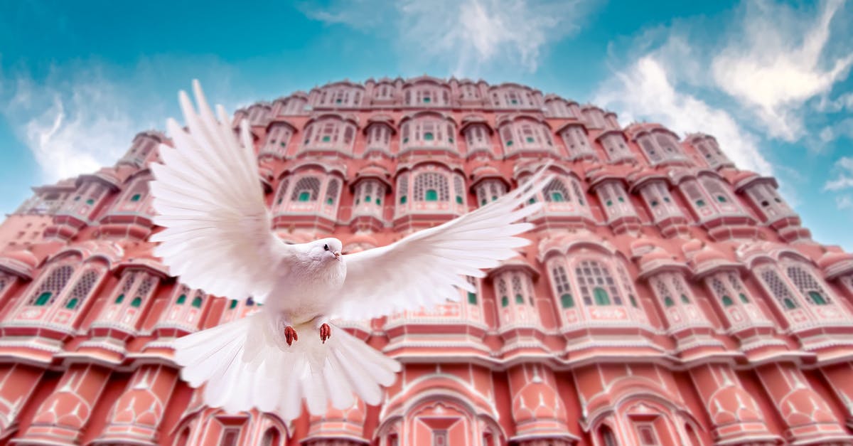 Itinerary for the south of India - White Bird Flying over the Brown Concrete Building Itinerary for the south of India - White Bird Flying over the Brown Concrete Building