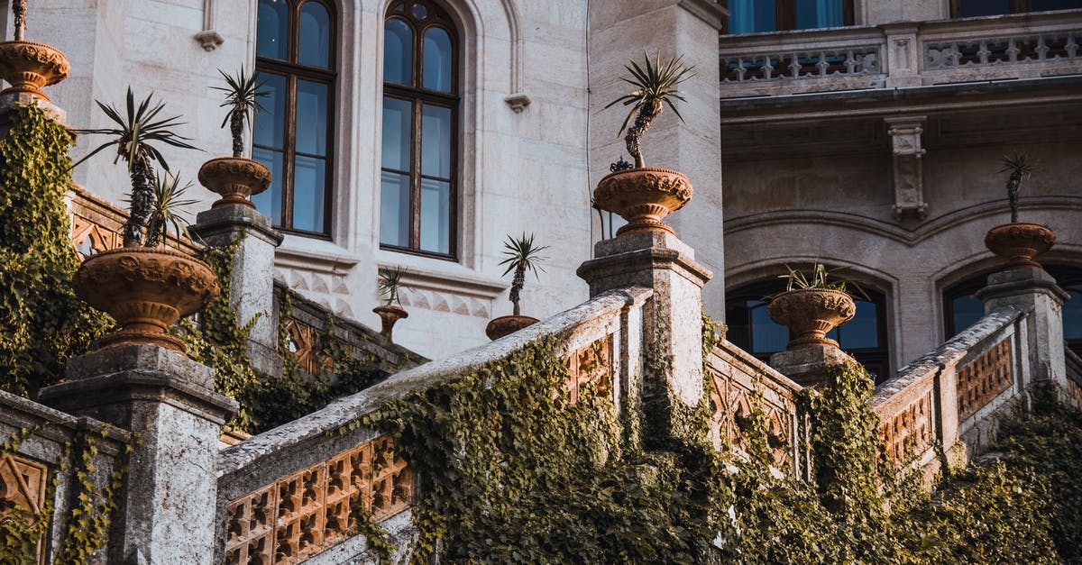 Jamaican with green card visiting Italy - Potter Plants on Stairs of Building Jamaican with green card visiting Italy - Potter Plants on Stairs of Building
