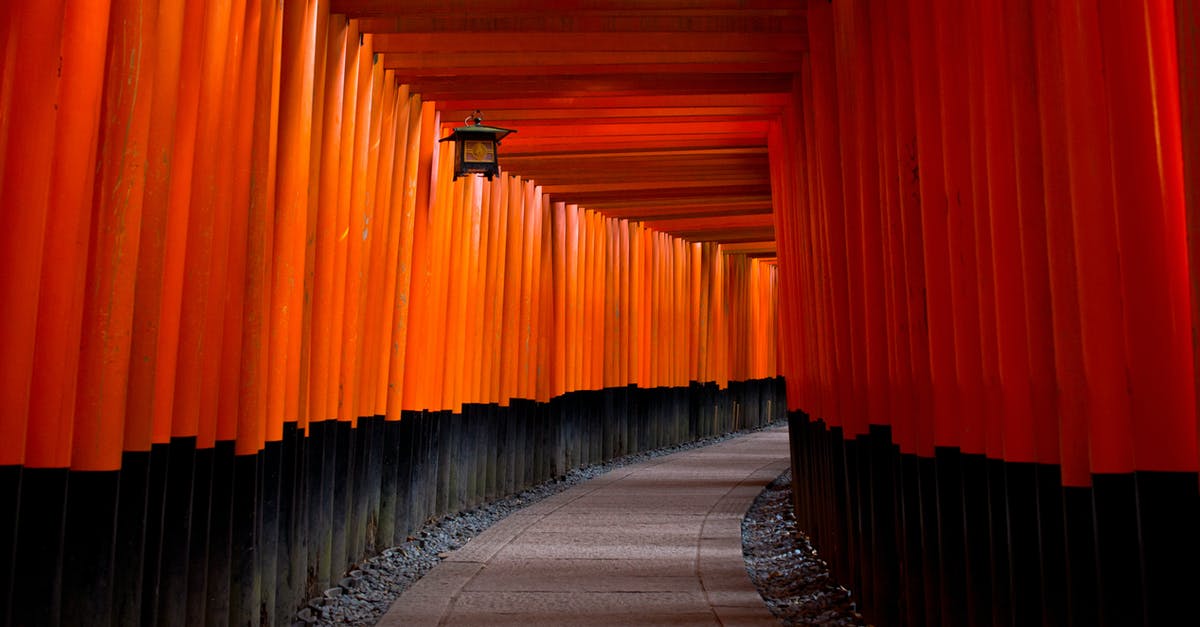 Japan's crumbling temples and shrines -- How can I find them? - Gray Concrete Pathway Between Red-and-black Pillars
