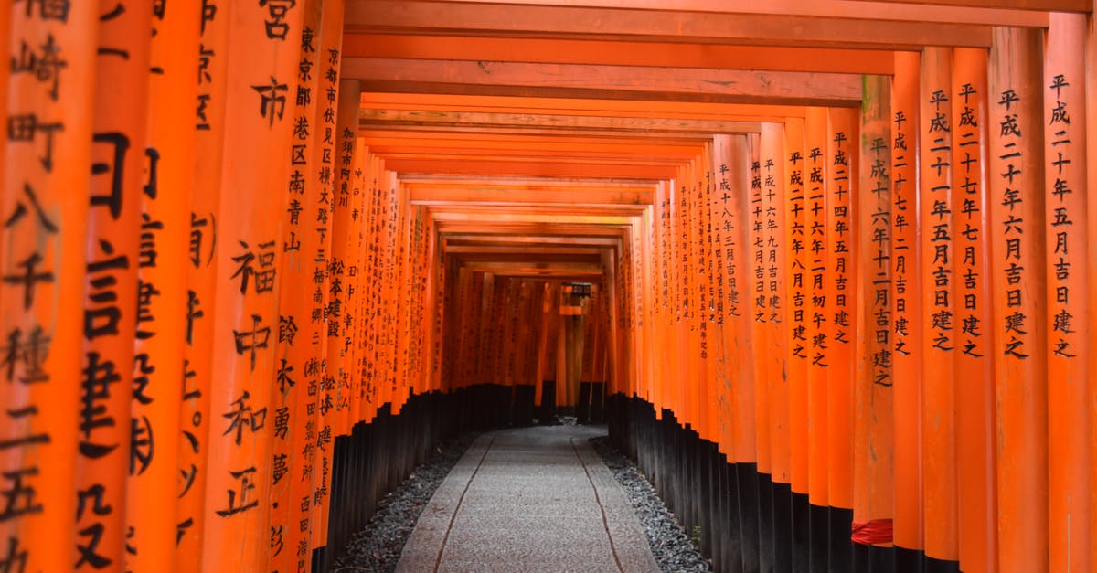 Japan - Any places similar to Midnight Diner? - Photo of Walkway Between Shinto Shrine Japan - Any places similar to Midnight Diner? - Photo of Walkway Between Shinto Shrine