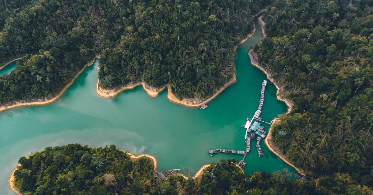 Jeju Island (New Natural Wonder of the World) - How to Get There? - Breathtaking drone view of houses on water and sandy coastline surrounded by exotic forest and lagoon Jeju Island (New Natural Wonder of the World) - How to Get There? - Breathtaking drone view of houses on water and sandy coastline surrounded by exotic forest and lagoon