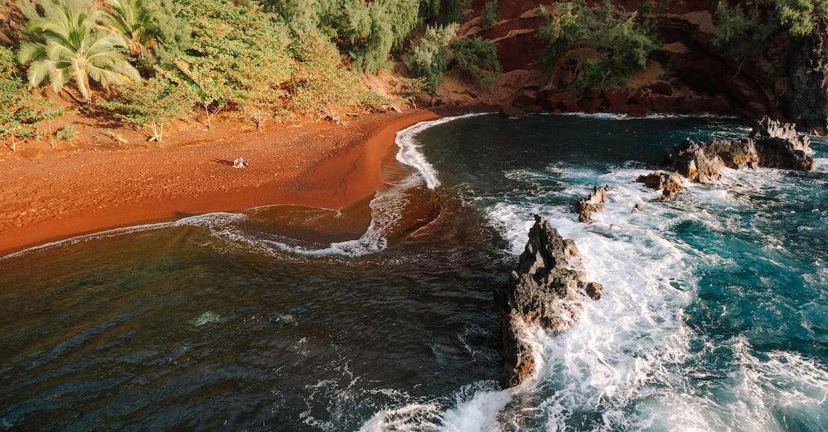 Jeju Island (New Natural Wonder of the World) - How to Get There? - Rocky coast with shrubs against waving sea Jeju Island (New Natural Wonder of the World) - How to Get There? - Rocky coast with shrubs against waving sea