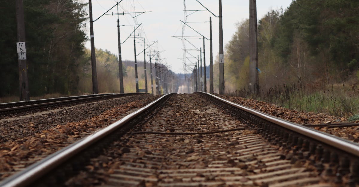 Journey planner for finding intercity train connections in China? - Railway surrounded by forest and wires Journey planner for finding intercity train connections in China? - Railway surrounded by forest and wires
