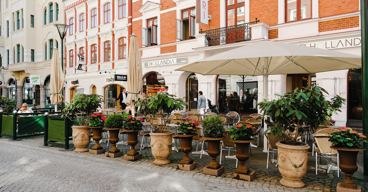 Kenyan citizen travelling to Sweden - Green Leaf Potted Plant Kenyan citizen travelling to Sweden - Green Leaf Potted Plant