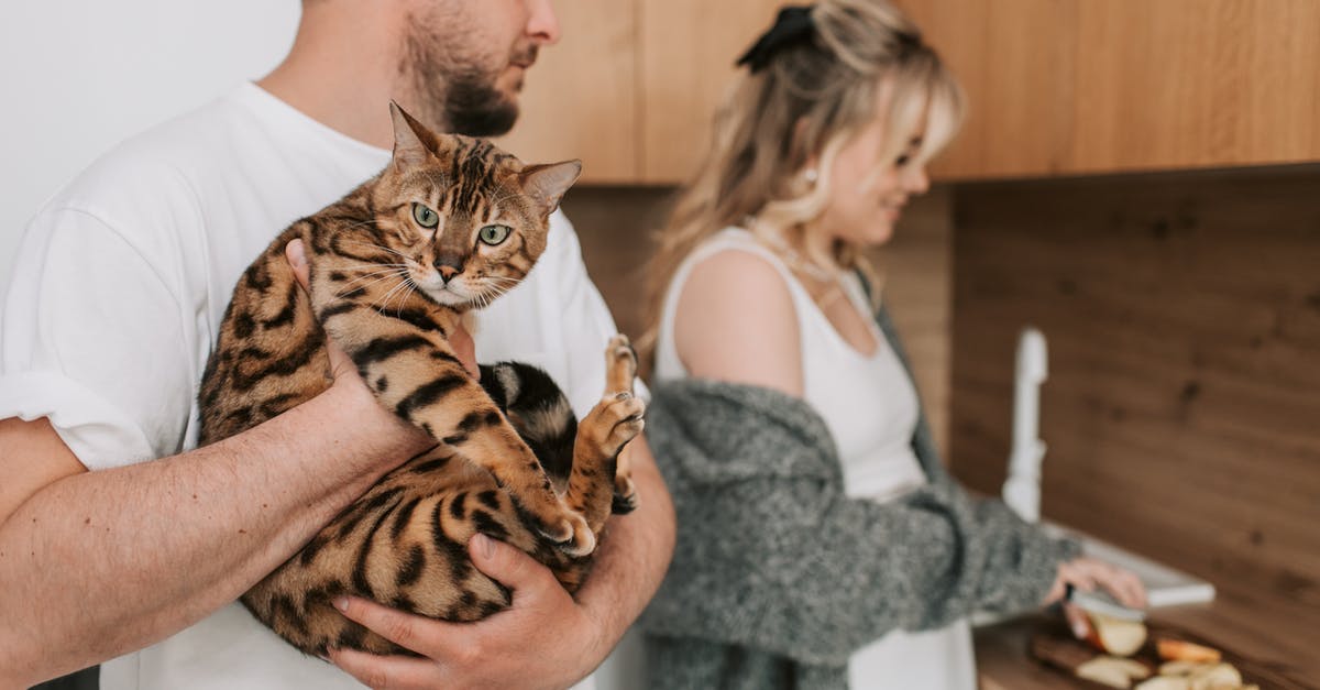 Knife carrying laws in China? - Man Carrying a Cat and a Woman Slicing Fruits at the Kitchen Knife carrying laws in China? - Man Carrying a Cat and a Woman Slicing Fruits at the Kitchen