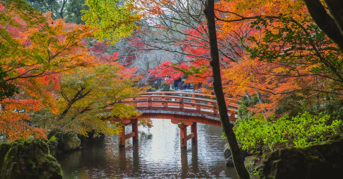 Korean and Japanese visa needed for travelling? - Arched bridge over calm lake in Japanese park Korean and Japanese visa needed for travelling? - Arched bridge over calm lake in Japanese park