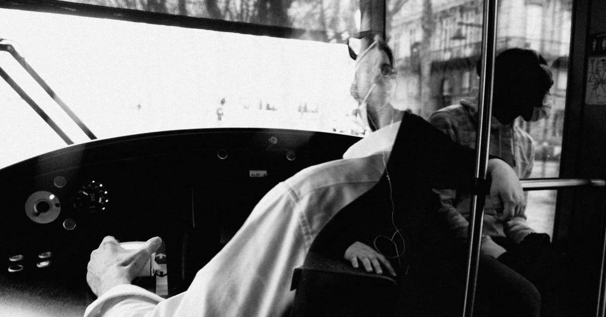 La Paz to Santiago by bus - Man in White Dress Shirt Sitting on Car Seat