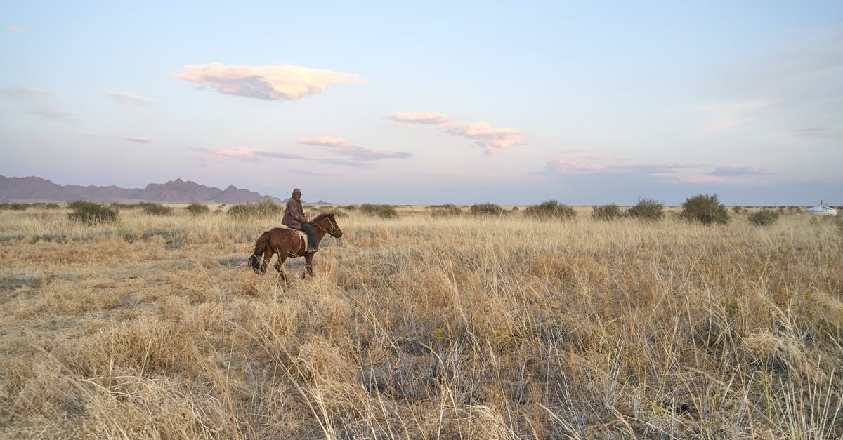 Land Rover in Mongolia with no hired driver - Anonymous male in warm clothes riding horse in wide field in daytime in summer Land Rover in Mongolia with no hired driver - Anonymous male in warm clothes riding horse in wide field in daytime in summer
