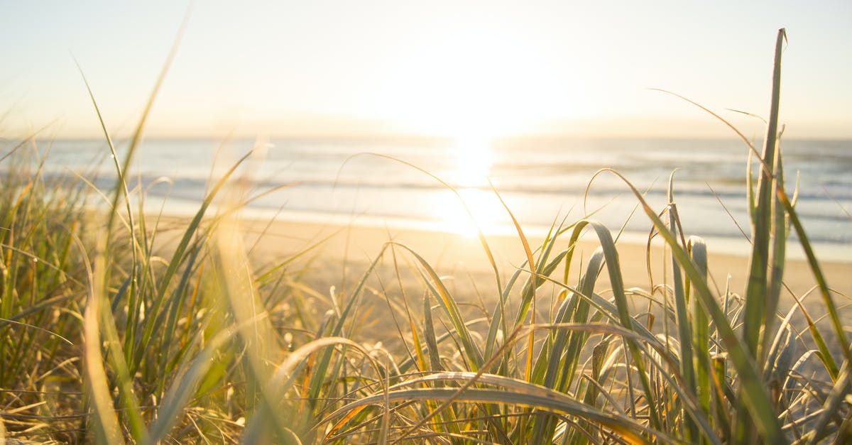 Landing in Australia without a Visa - Sea Horizon Landing in Australia without a Visa - Sea Horizon