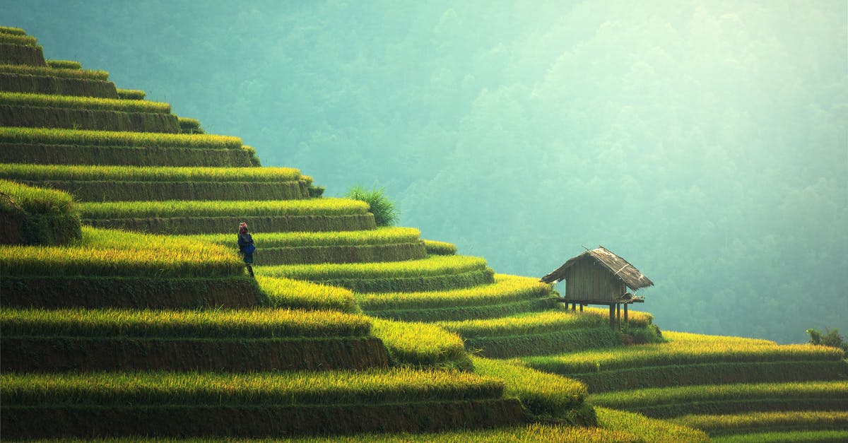 Language culture and Food culture in South India? - Person Standing on Terraces