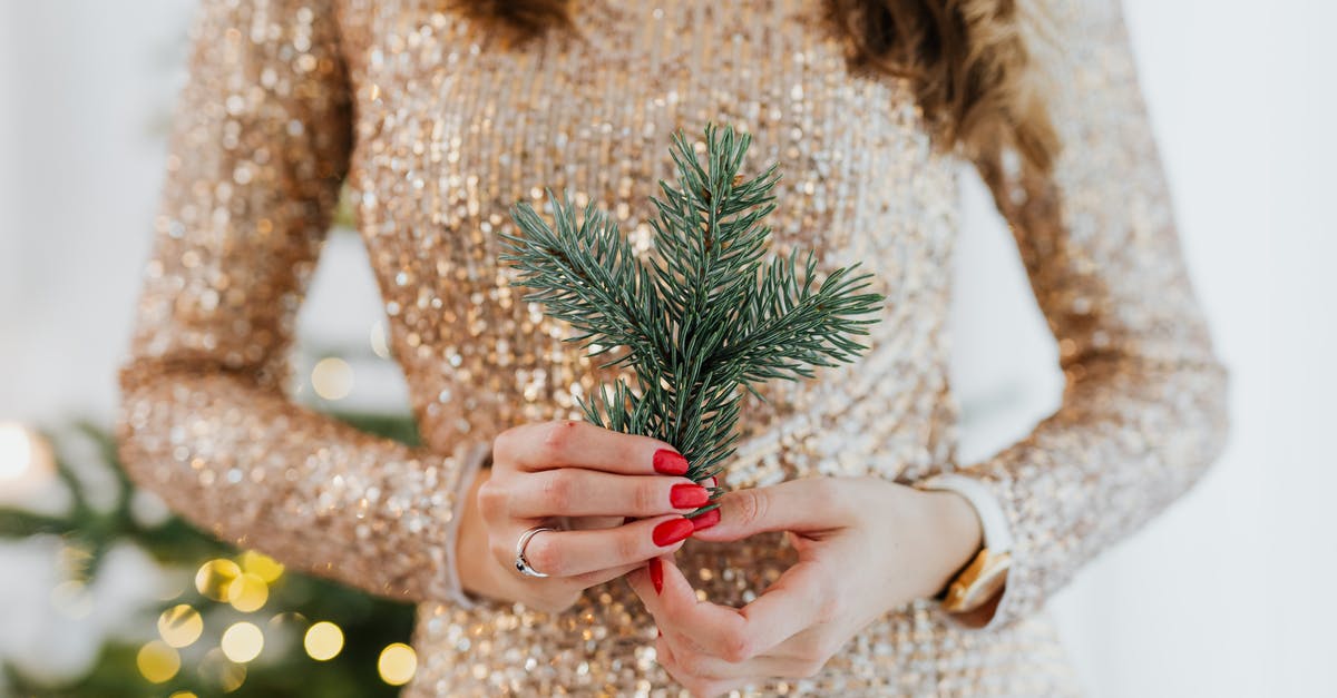 Layover at DEL T3 Holiday Inn - Close Up of Woman Hands Holding Spruce Twig Layover at DEL T3 Holiday Inn - Close Up of Woman Hands Holding Spruce Twig
