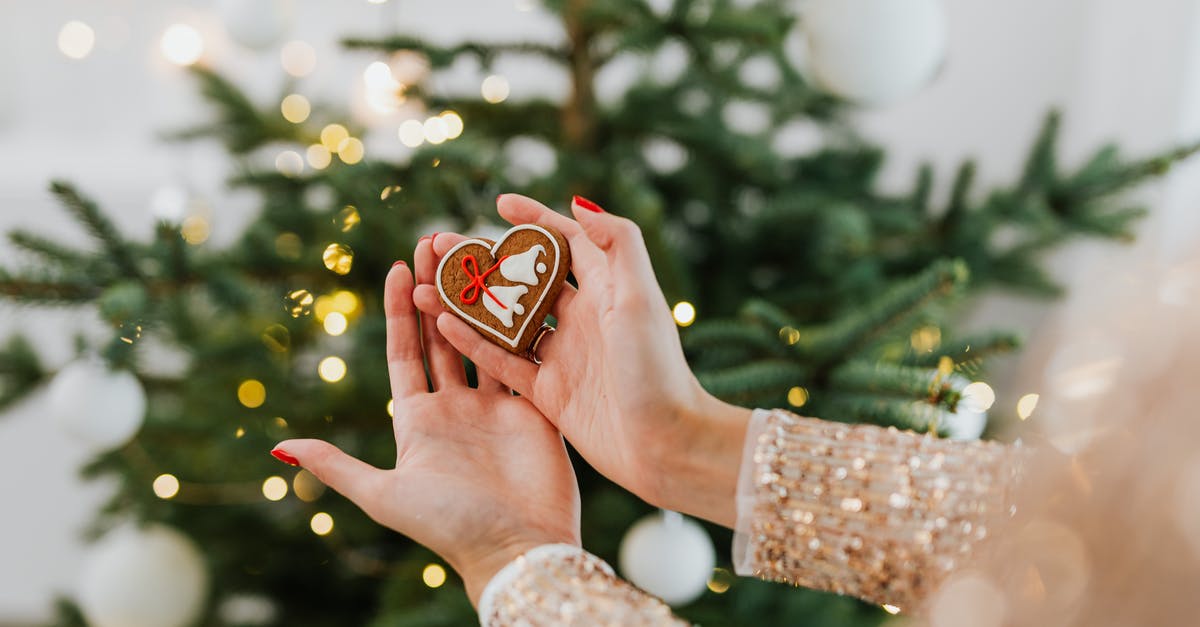 Layover at DEL T3 Holiday Inn - Person Holding Red and White Heart Ornament Layover at DEL T3 Holiday Inn - Person Holding Red and White Heart Ornament
