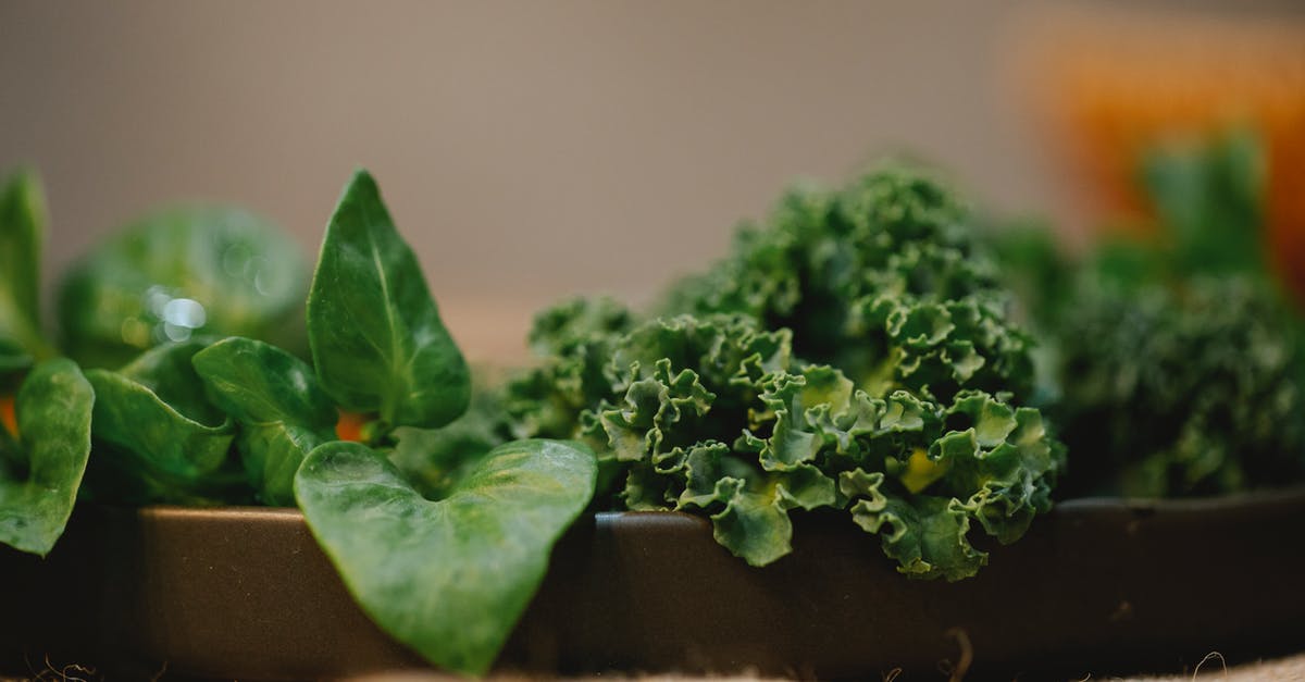Leaving food on a plate in Russia - Plate with greens and spinach leaves placed on cloth covering table in kitchen Leaving food on a plate in Russia - Plate with greens and spinach leaves placed on cloth covering table in kitchen