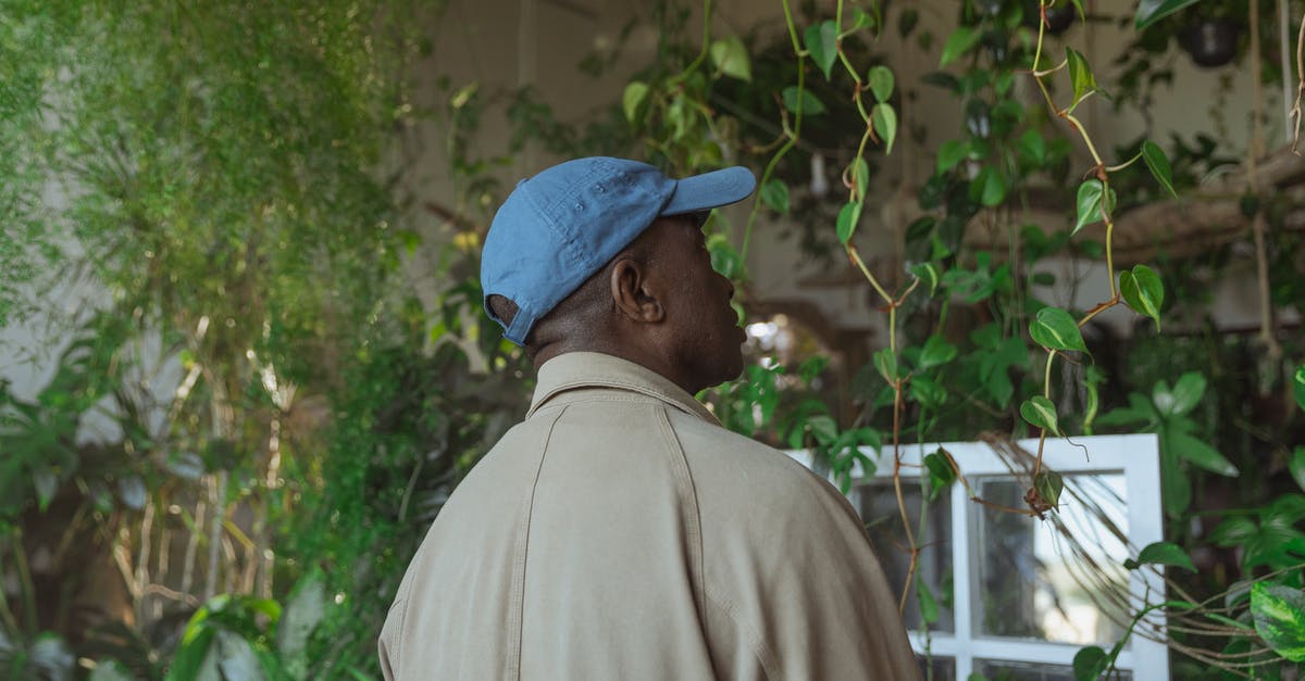 Lebara roaming is apparently free, what is the catch? - Photo of Man Roaming Around Greenhouse Lebara roaming is apparently free, what is the catch? - Photo of Man Roaming Around Greenhouse