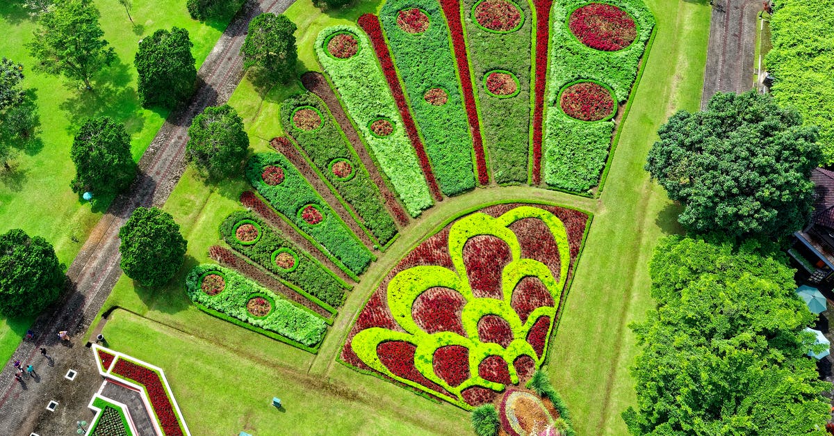 Legality of parking helpers (tukang parkir) in Indonesia - Peacock Designed Garden Legality of parking helpers (tukang parkir) in Indonesia - Peacock Designed Garden