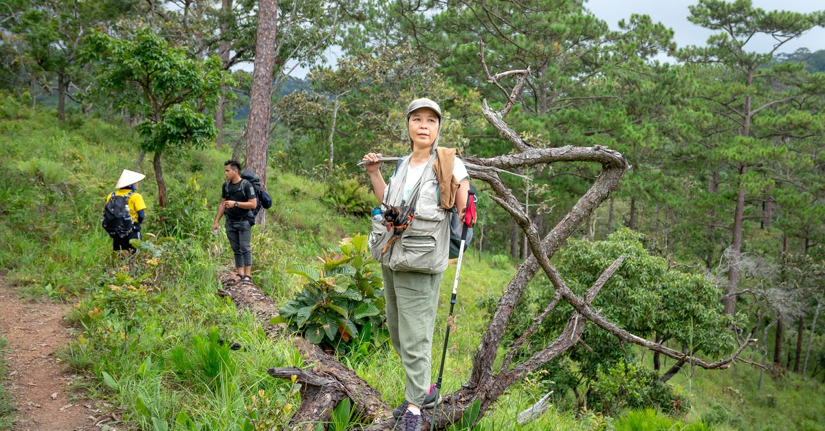 Length of visit for 2 year UK tourist visa - Full body positive Asian travelers in casual outfits visiting green national park on clear summer day Length of visit for 2 year UK tourist visa - Full body positive Asian travelers in casual outfits visiting green national park on clear summer day