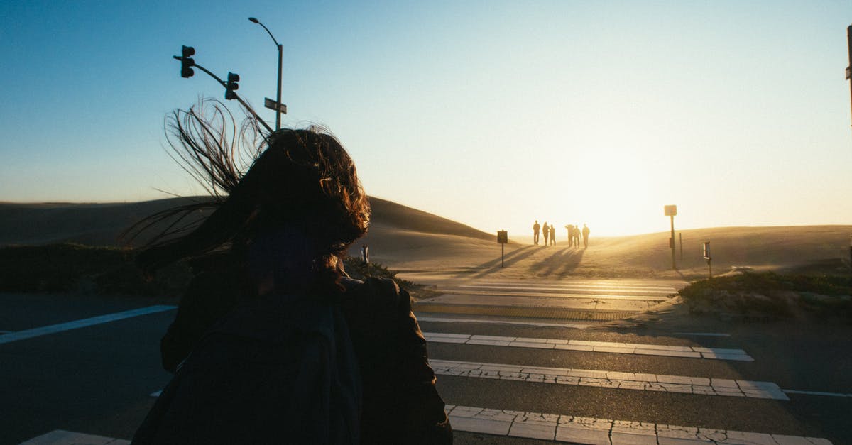 Light at Canadian border crossing - Woman Walking on Crosswalk during Day Light at Canadian border crossing - Woman Walking on Crosswalk during Day
