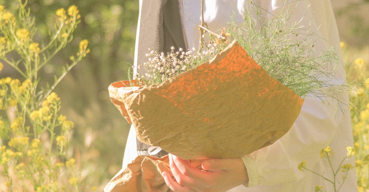 Limits on Denmark's permanent residency [closed] - Person Holding a Bouquet of Flowers