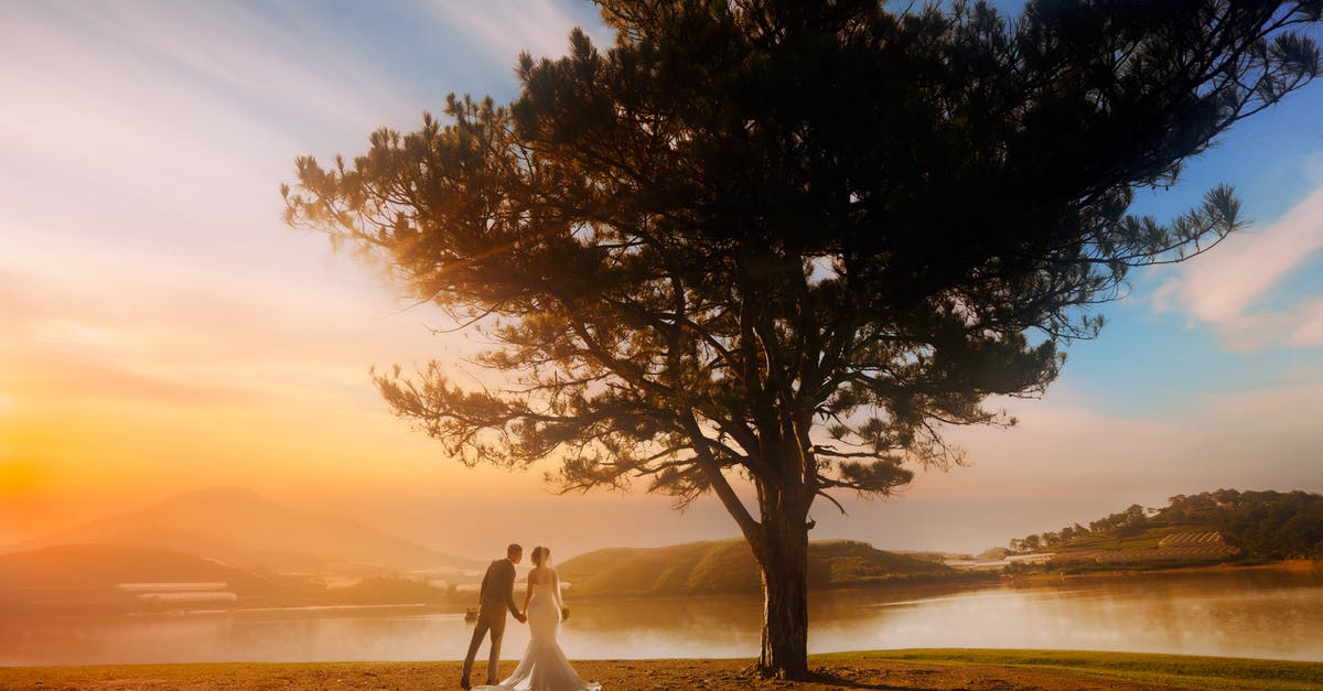 Married in secret, can marital status in passport be changed at a later date? - Married couple near calm water Married in secret, can marital status in passport be changed at a later date? - Married couple near calm water