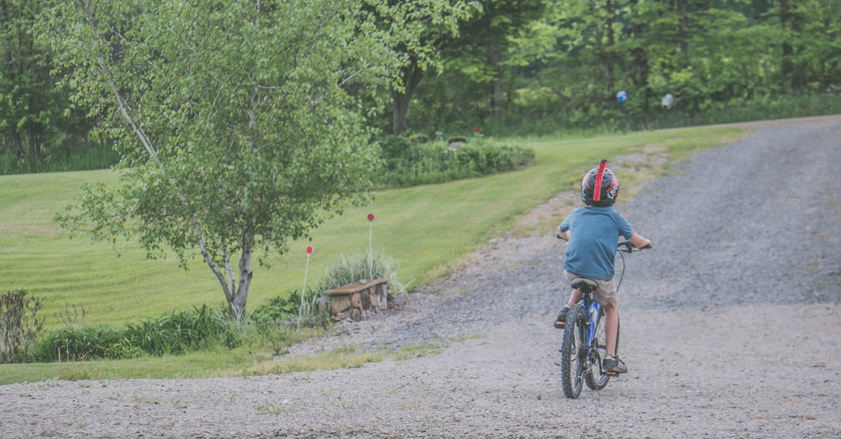 May kids ride in the back of a 5th Wheel in the US? - Boy Wearing Blue T-shirt and Beige Shorts Outfit Riding on Black Bicycle at Daytime