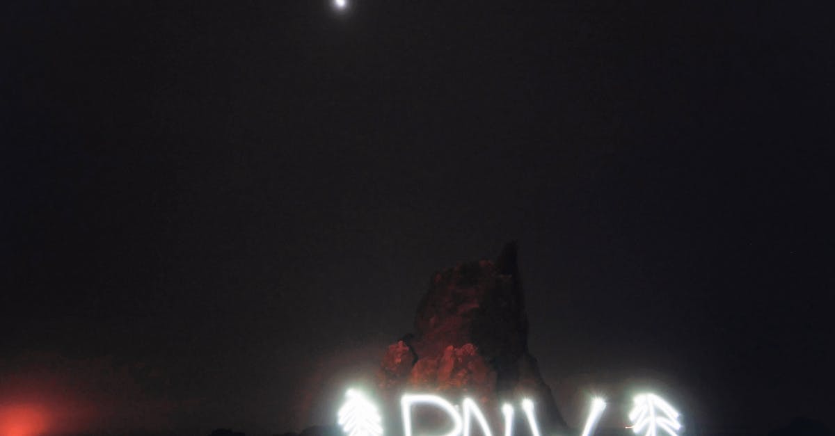 Meaning of 08:00 EST in North America - Abbreviation PNW between fir shaped decorations illuminating with white neon lights and located against rocks at night under dark sky and bright moon Pacific Northwest traveling Meaning of 08:00 EST in North America - Abbreviation PNW between fir shaped decorations illuminating with white neon lights and located against rocks at night under dark sky and bright moon Pacific Northwest traveling
