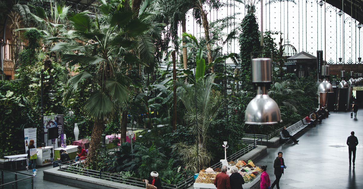 Melbourne: Traveling from Southern Cross station to hotel at 11 PM - Group of People Near Palm Tree Melbourne: Traveling from Southern Cross station to hotel at 11 PM - Group of People Near Palm Tree