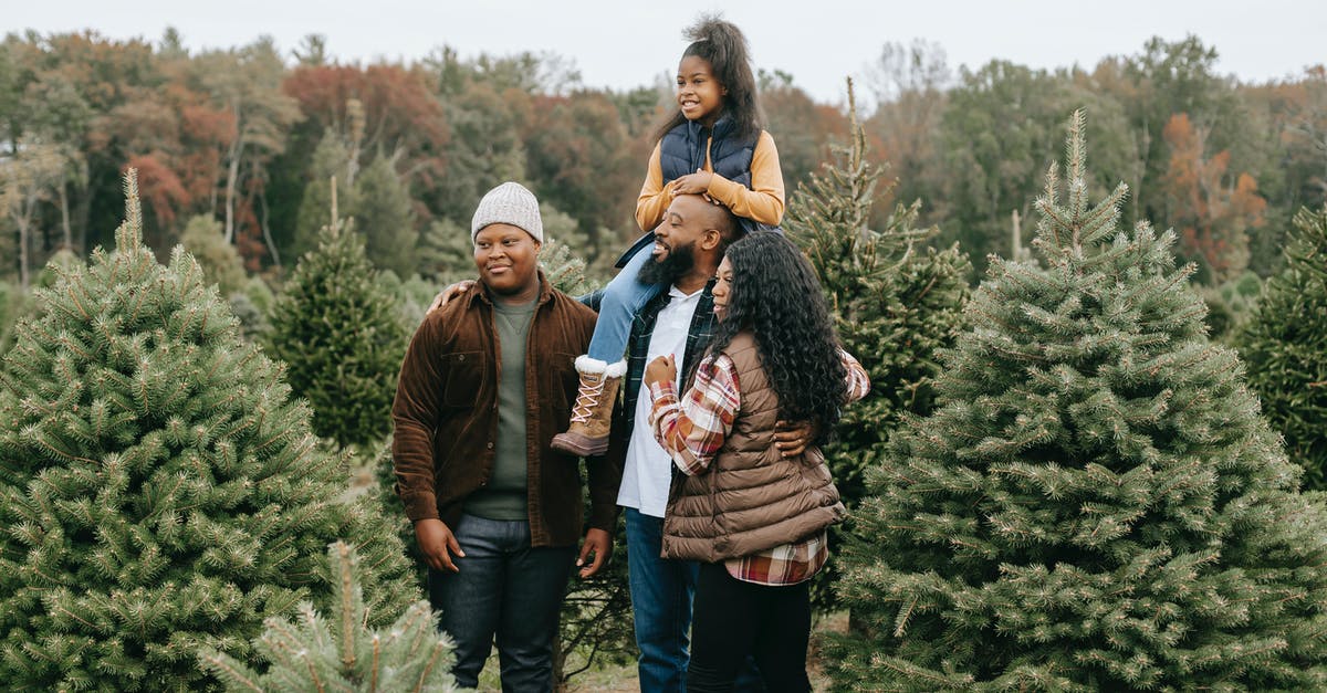 Mom and dad having different mailing addresses. B2 Visitor Visa [closed] - Positive black family preparing for Christmas on tree farm