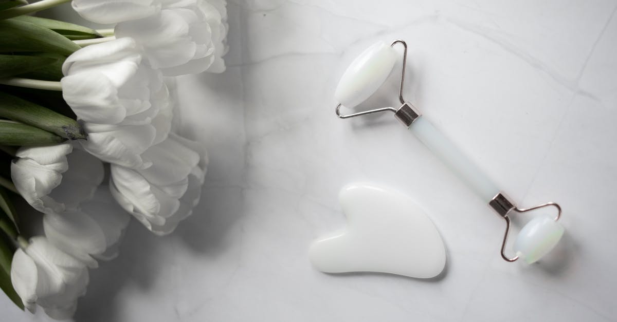 Most thrilling roller coasters in South Carolina? - White Gua sha tools placed near bouquet of flowers on marble table Most thrilling roller coasters in South Carolina? - White Gua sha tools placed near bouquet of flowers on marble table