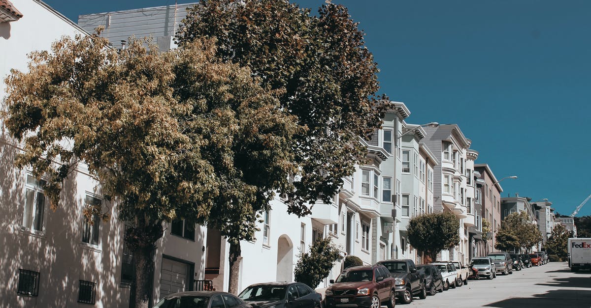 Multiday parking in San Francisco - Green Trees Near Vehicle Multiday parking in San Francisco - Green Trees Near Vehicle