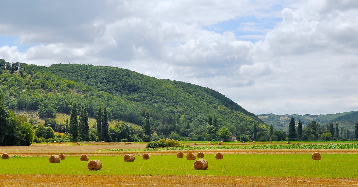 My country does not allow Dual nationality.....but my 2nd country has no issue [duplicate] - Panoramic Photograph of Haystacks on Field
