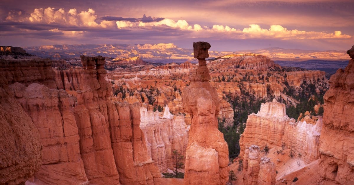 My father's USA visitors visa application refused on 212(a)(6)(C)(i) - Grand Canyon during Golden Hour My father's USA visitors visa application refused on 212(a)(6)(C)(i) - Grand Canyon during Golden Hour