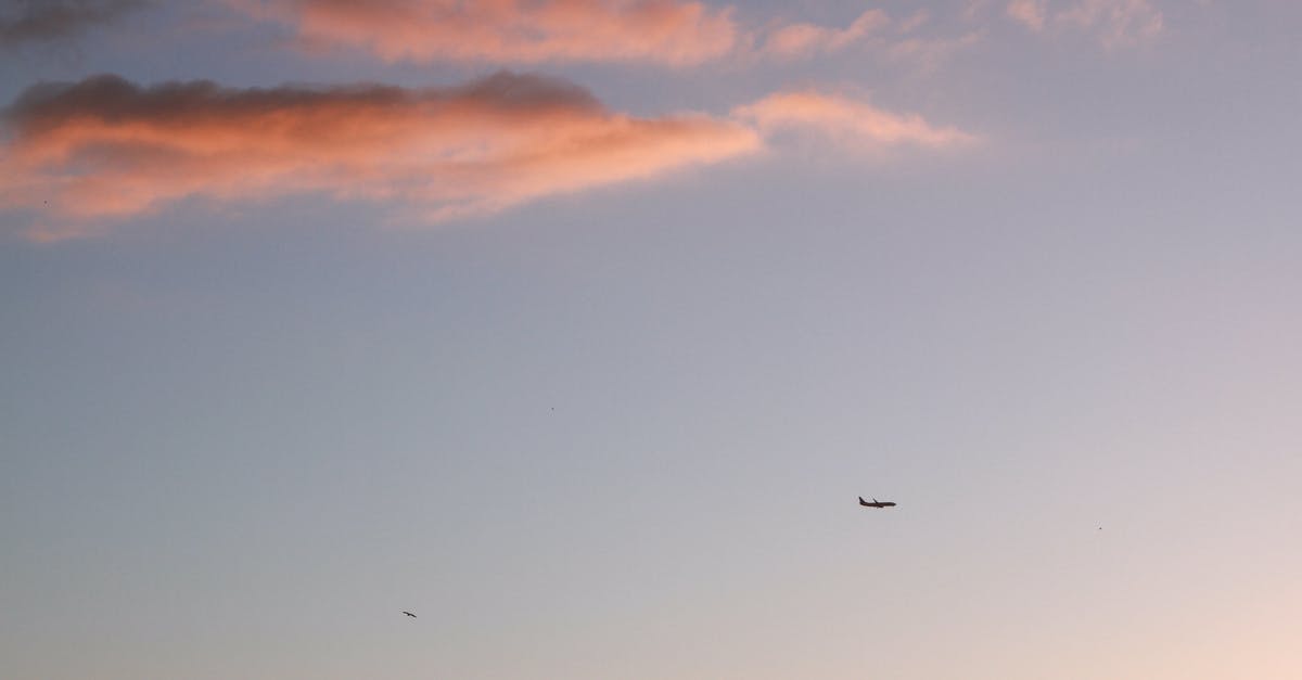 My flight HEL=>PRG was delayed. Scheduled aircraft was not able to leave AMS due to weather. Am I eligible for compensation? - White Clouds My flight HEL=>PRG was delayed. Scheduled aircraft was not able to leave AMS due to weather. Am I eligible for compensation? - White Clouds