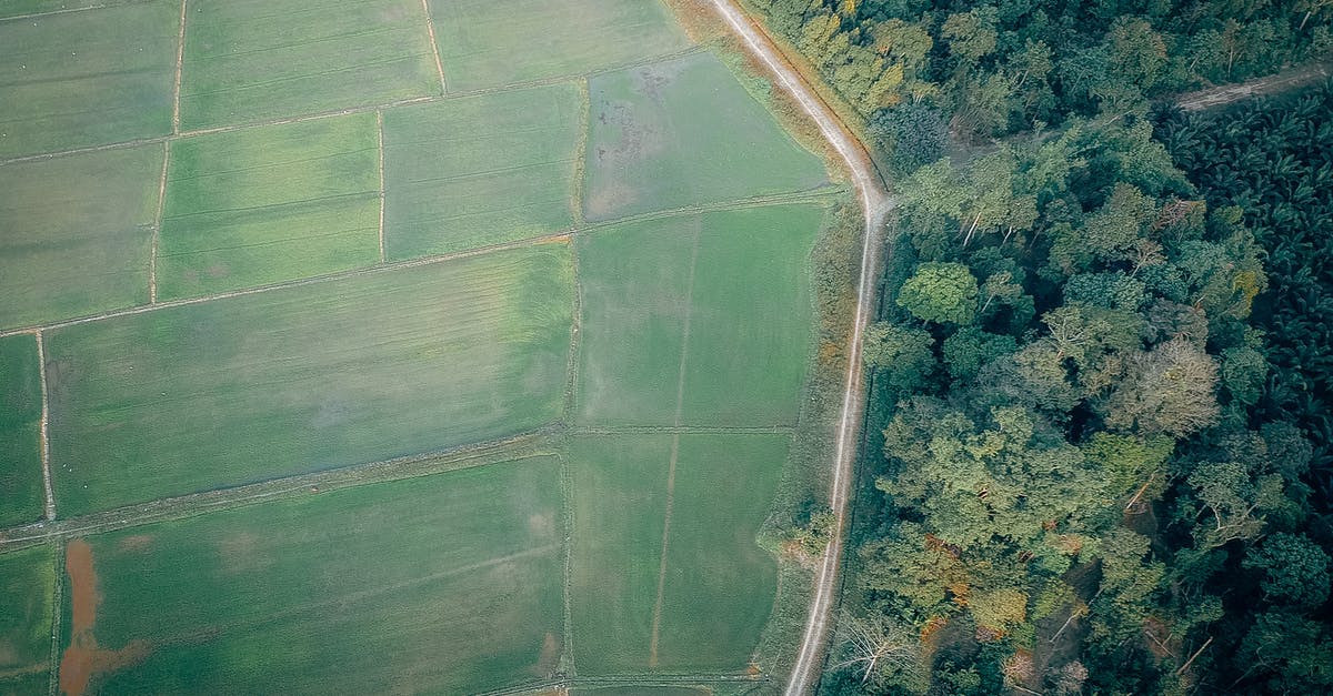 My girlfriend's mother called the police to ban me from getting into the country [closed] - Aerial View Photography of Rice Field and Green Forest
