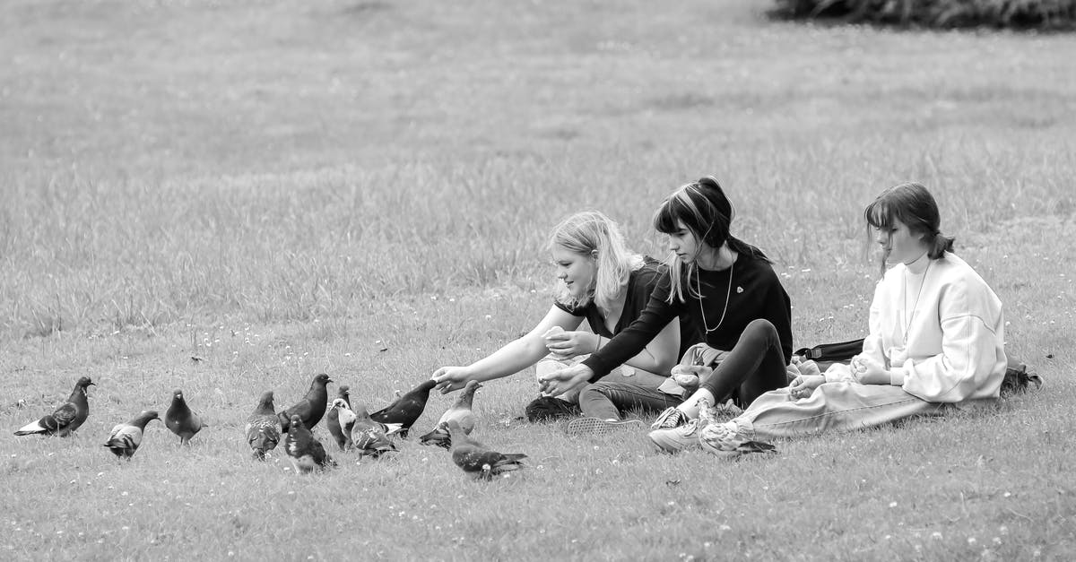 My girlfriend is paying for my UK visa what did I still need to provide [duplicate] - Content girlfriends resting on grassy lawn and feeding pigeons