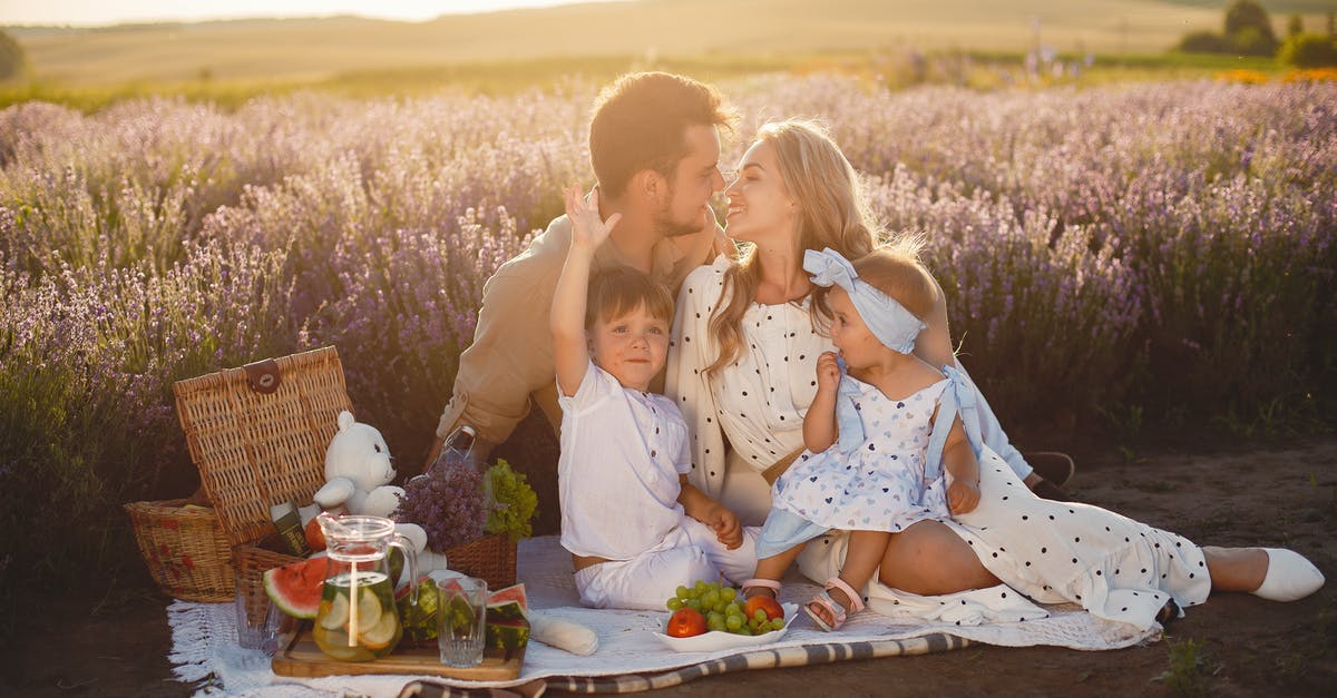 My sister and her husband with two children live in UK: how do I fill out the visa application? [closed] - Family on a Picnic in Heather