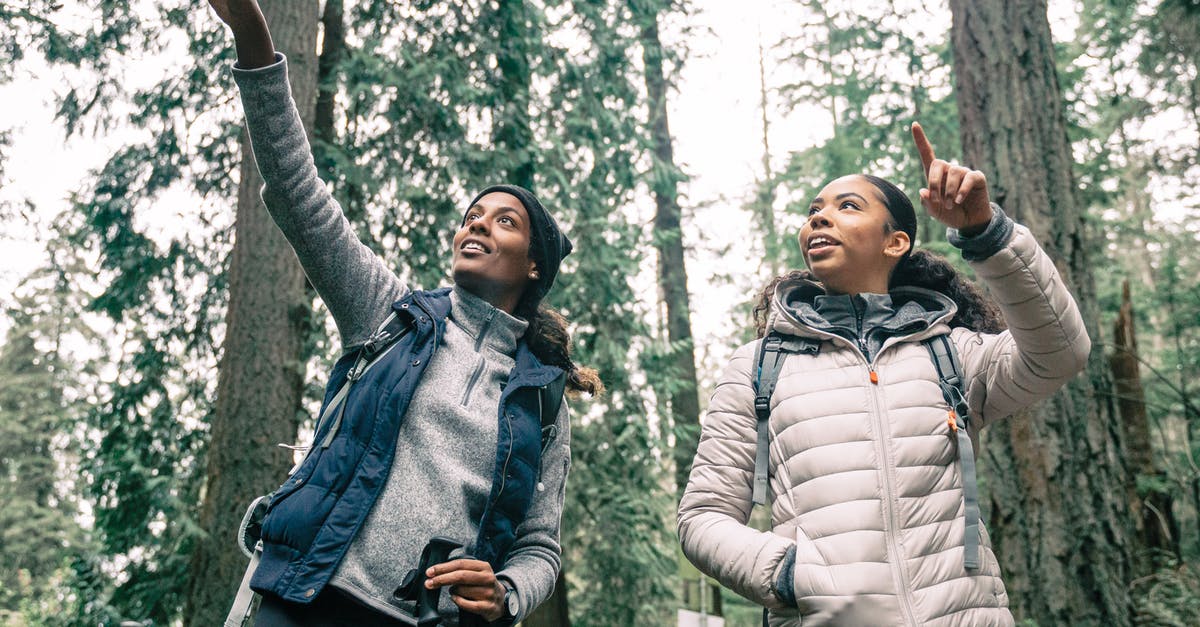 Need advice before applying for Schengen (Visit to friends and family or tourist) - Women Hiking in a Forest Need advice before applying for Schengen (Visit to friends and family or tourist) - Women Hiking in a Forest