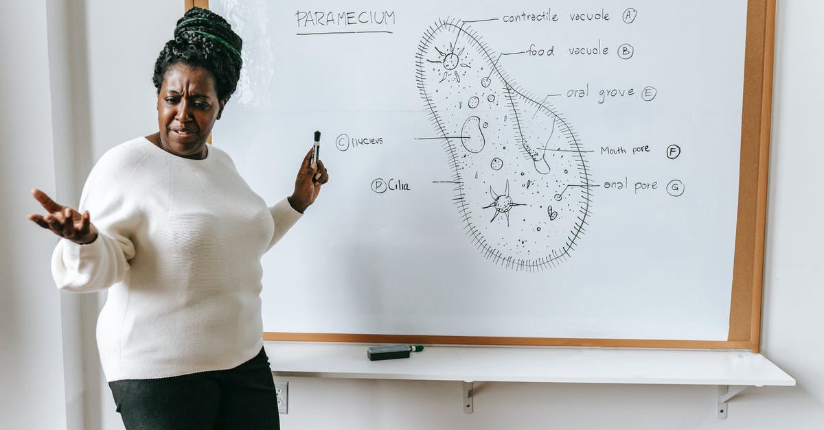 Need information about UK- Irish visa scheme - Black woman with marker near whiteboard Need information about UK- Irish visa scheme - Black woman with marker near whiteboard