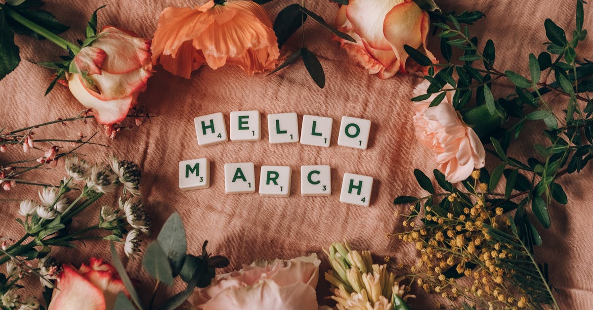 Netherlands Visa Refusal on 17th March 2020 - Free stock photo of april, beautiful flowers, beauty Netherlands Visa Refusal on 17th March 2020 - Free stock photo of april, beautiful flowers, beauty