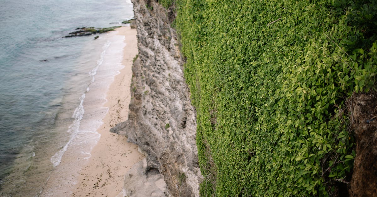 Ocean view east of Edinburgh - Free stock photo of beach, flora, grass Ocean view east of Edinburgh - Free stock photo of beach, flora, grass