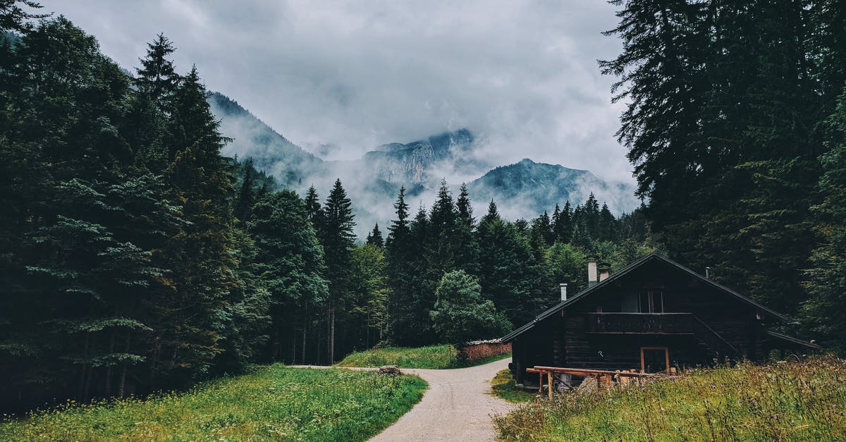 Offroad experience in Germany - Photo of Cabin Surrounded by Pine Trees Offroad experience in Germany - Photo of Cabin Surrounded by Pine Trees