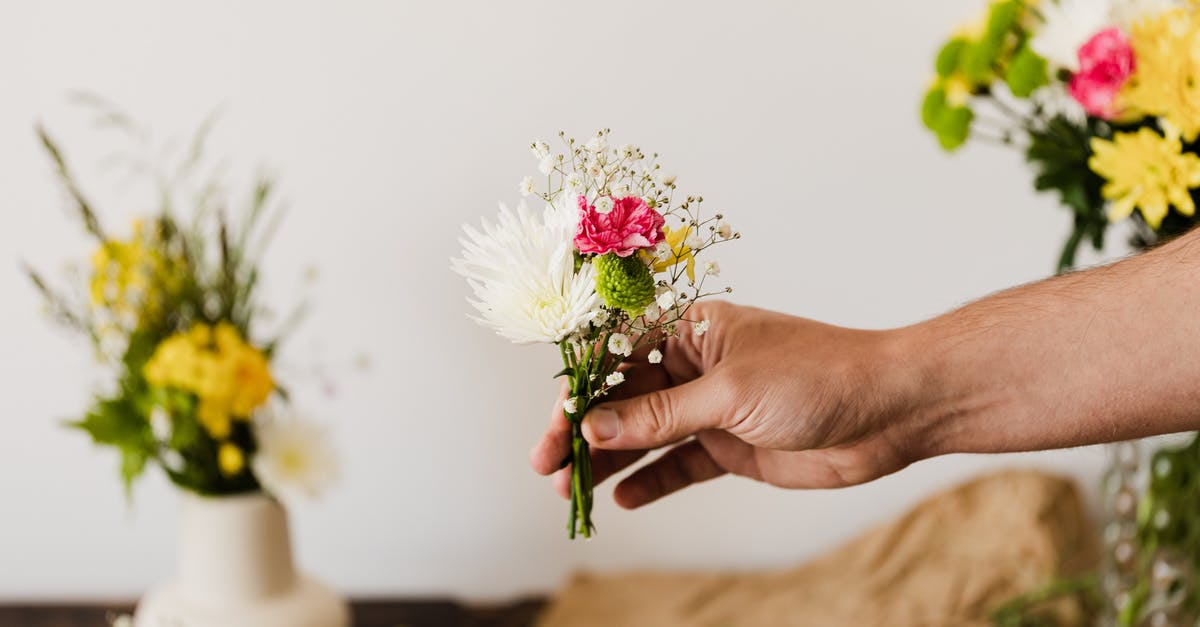 Ok to bring in small, cut and dried flowers and leaves, and small stones, into the USA? - Crop faceless male florist arranging little bouquet of white chrysanthemums and pink carnations decorated with gypsophila in flower shop Ok to bring in small, cut and dried flowers and leaves, and small stones, into the USA? - Crop faceless male florist arranging little bouquet of white chrysanthemums and pink carnations decorated with gypsophila in flower shop