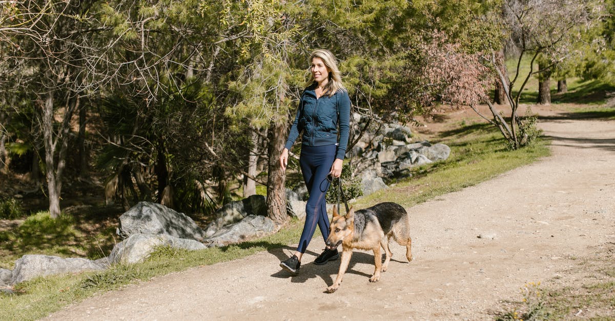On Algonquin Park's Walking Trails, how likely are you to encounter and be threatened by dangerous animals? - A Woman Walking Her Dog in the Park