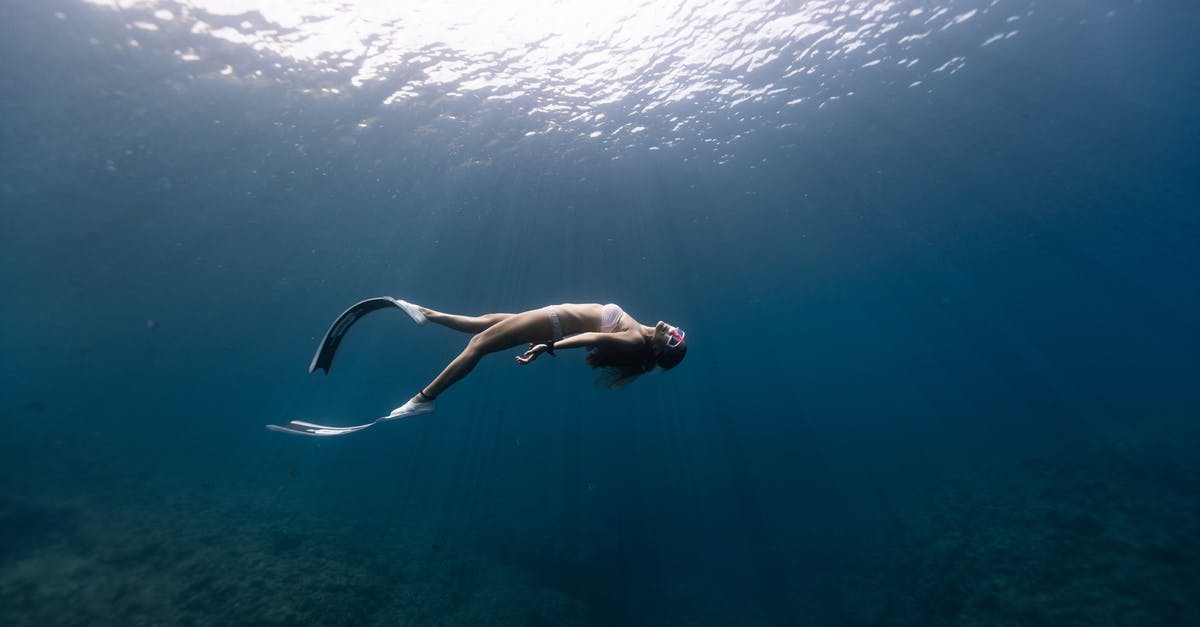 Open Water Diver certification in Malaysia in the end of January - Anonymous graceful woman snorkeling in ocean Open Water Diver certification in Malaysia in the end of January - Anonymous graceful woman snorkeling in ocean