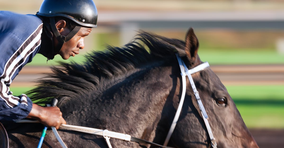 Overstay in USA - course of action? - Tilt Shift Focus Photography of Man Riding Horse Overstay in USA - course of action? - Tilt Shift Focus Photography of Man Riding Horse
