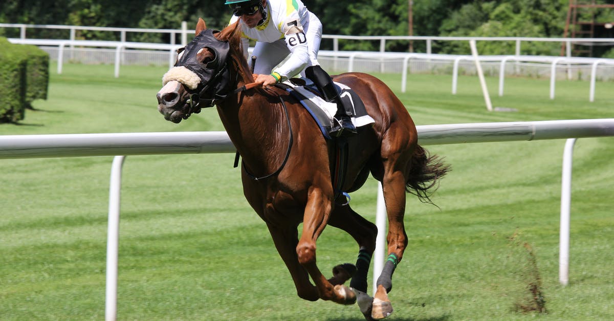 Overstay in USA - course of action? - Brown Horse Overstay in USA - course of action? - Brown Horse